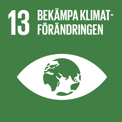 Mål 13