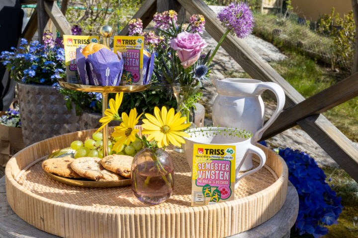 Tre Triss Semestervinsten-lotter på ett dukat sommarbord med blommor, kakor, vindruvor och kaffekopp i trädgårdsmiljö.