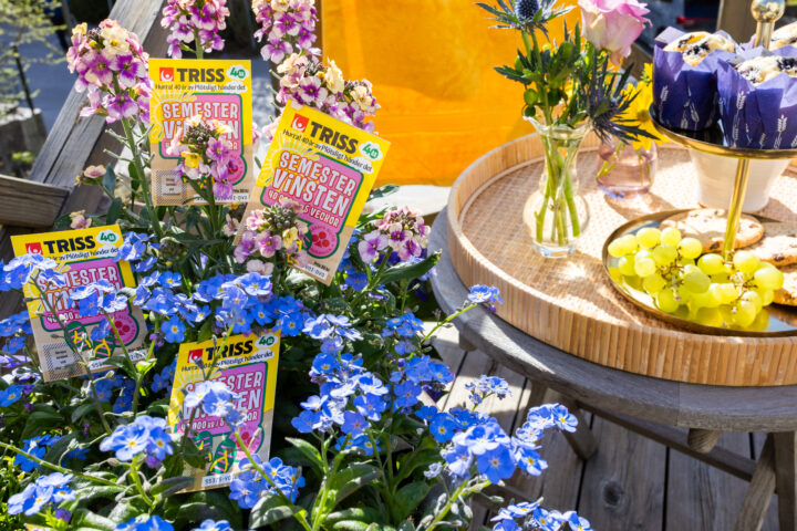 Tre Triss Semestervinsten-lotter på ett dukat sommarbord med blommor, frukt och fika i trädgårdsmiljö.
