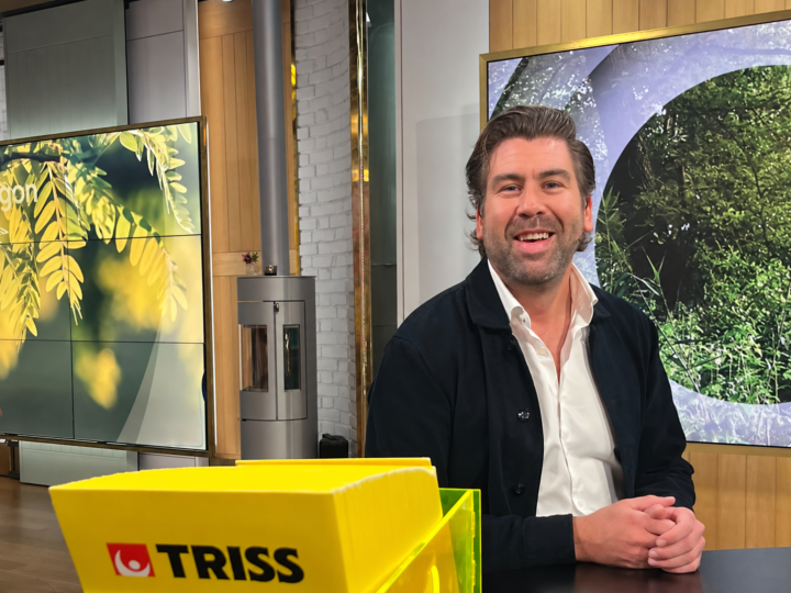 Marcus vän har varit en trogen Triss-skrapare under många år och var den som fick se tre tv-symboler dyka upp på sin lott.